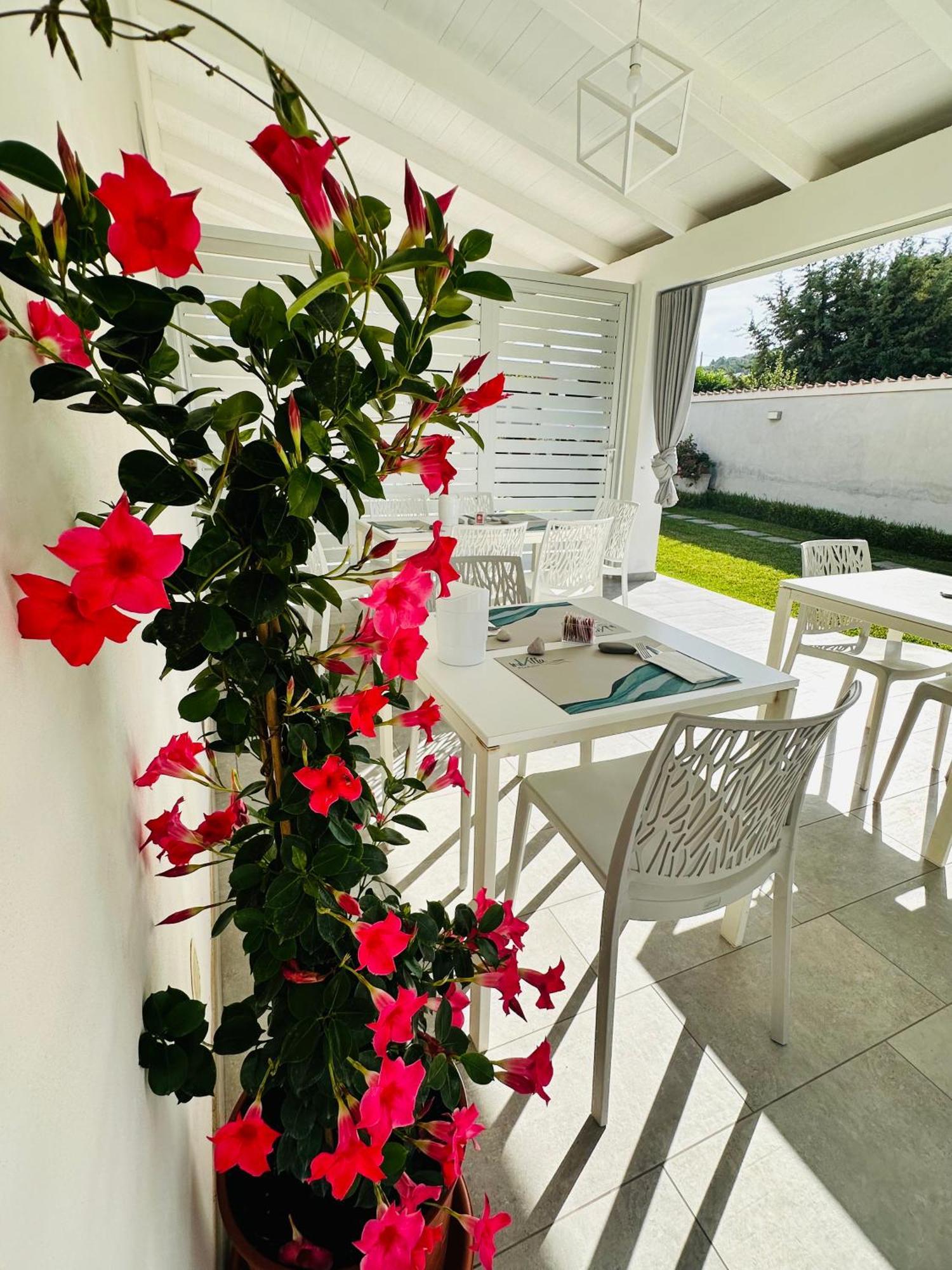 Invilla Bed&Breakfast - Quality Rooms Santa Maria di Castellabate Exteriér fotografie