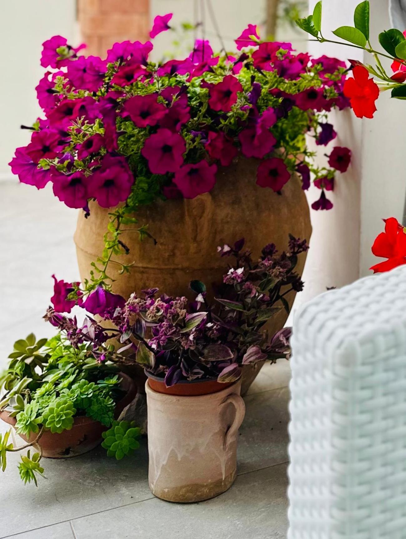 Invilla Bed&Breakfast - Quality Rooms Santa Maria di Castellabate Exteriér fotografie