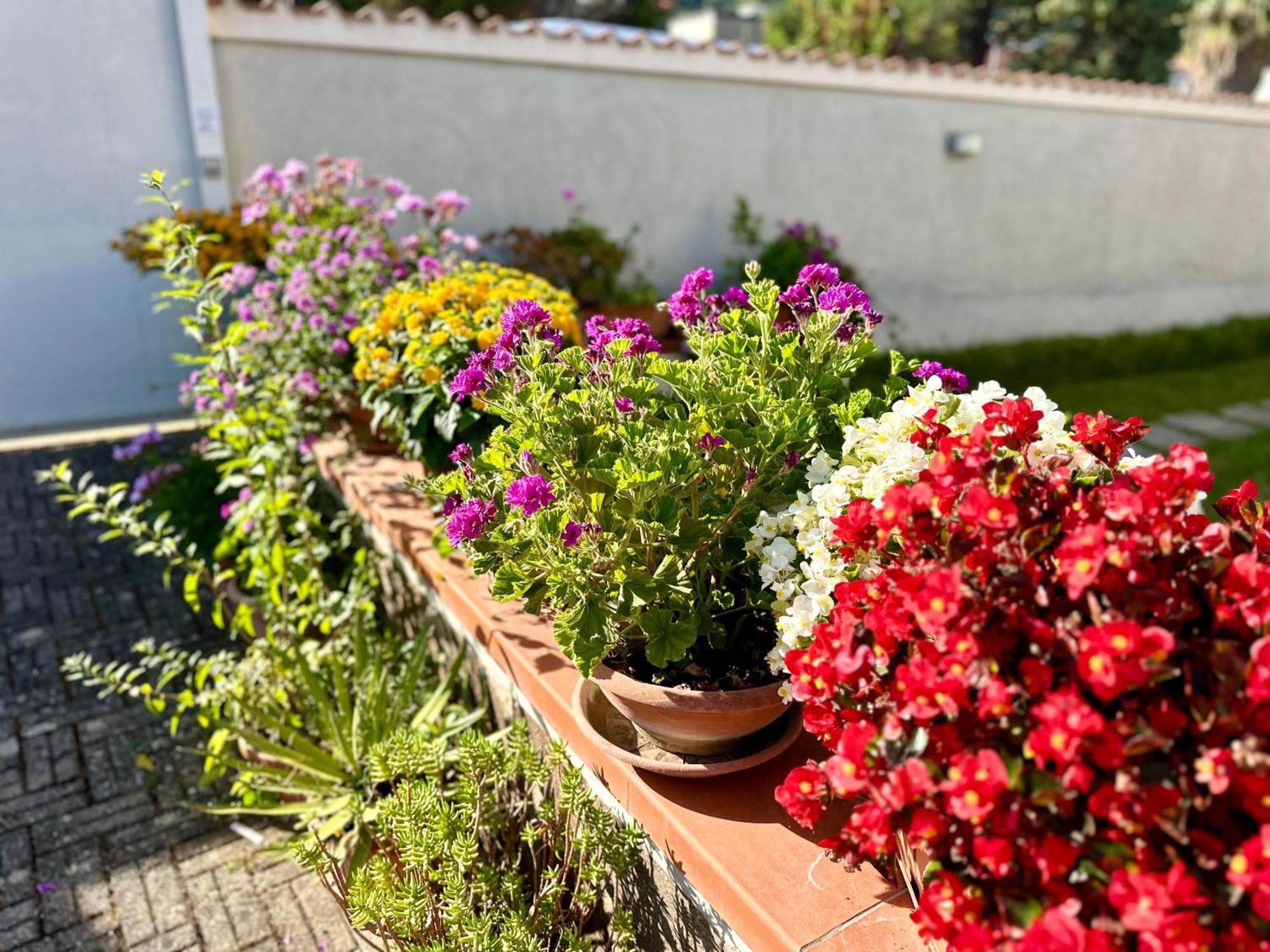 Invilla Bed&Breakfast - Quality Rooms Santa Maria di Castellabate Exteriér fotografie
