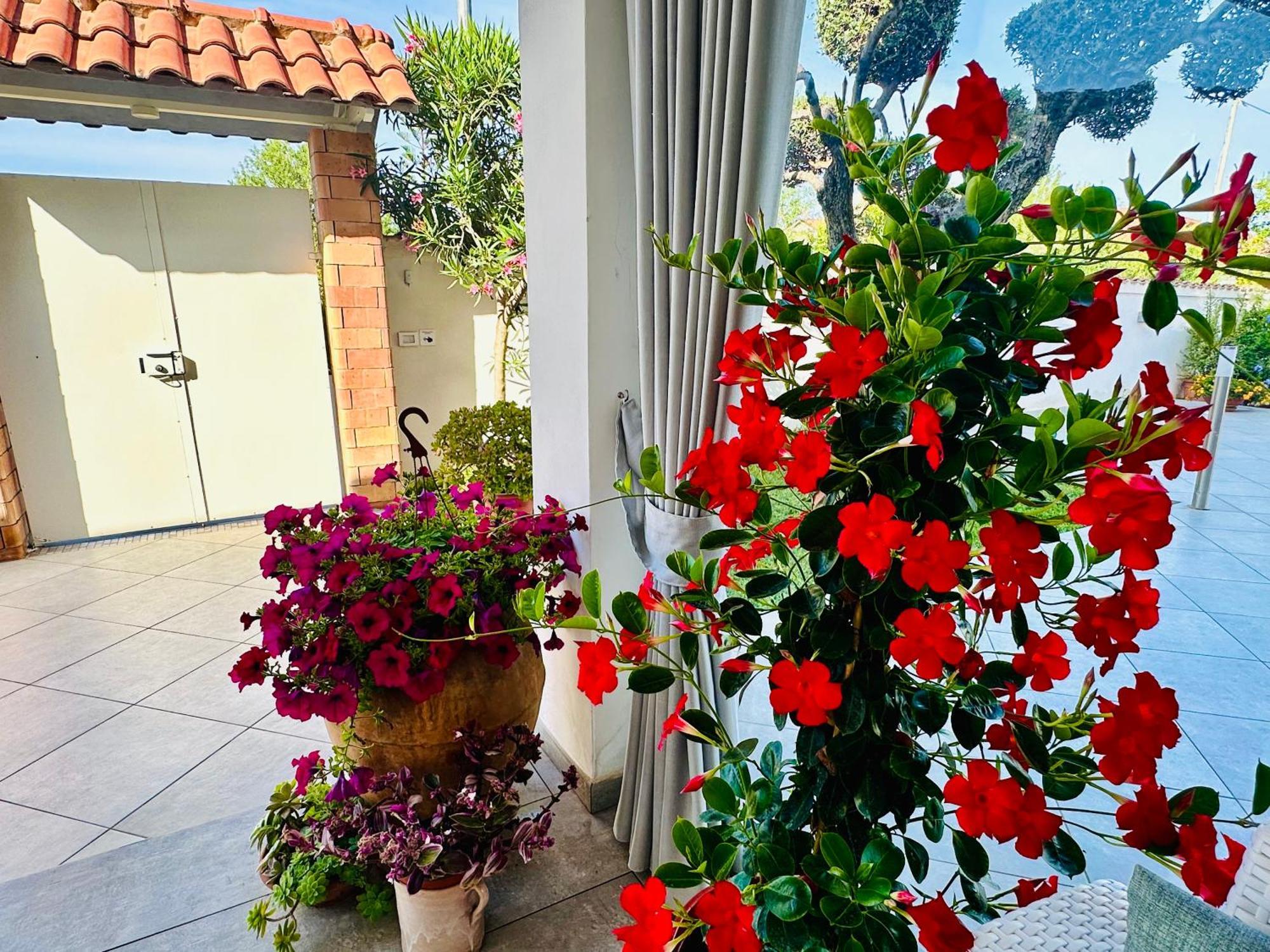 Invilla Bed&Breakfast - Quality Rooms Santa Maria di Castellabate Exteriér fotografie
