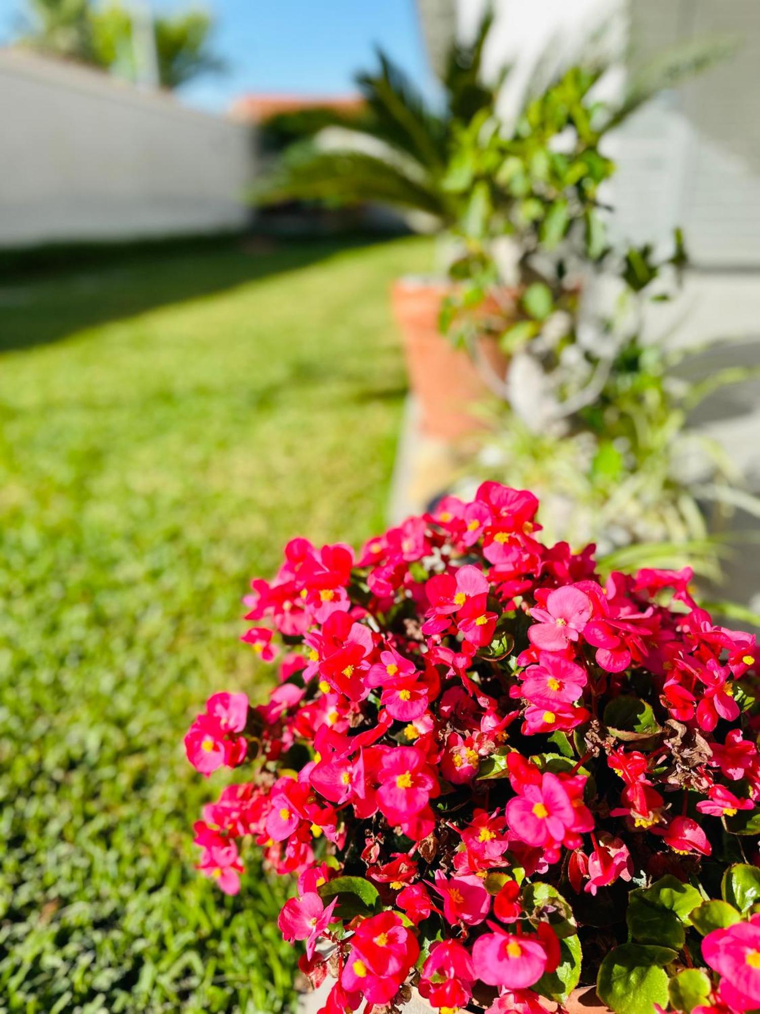Invilla Bed&Breakfast - Quality Rooms Santa Maria di Castellabate Exteriér fotografie
